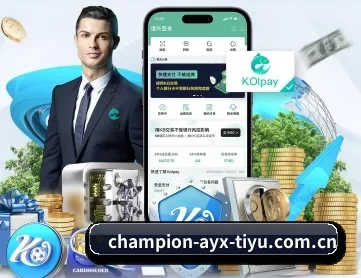 爱游戏体育官网 APP